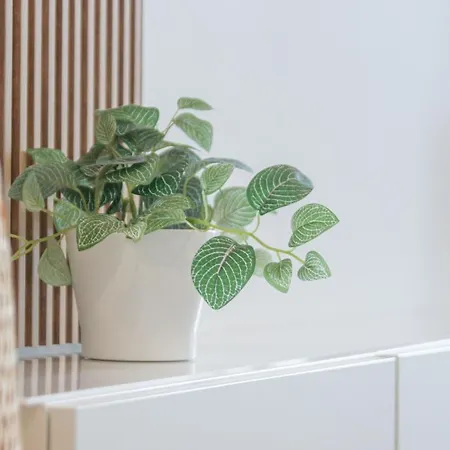 Al-dom Summer 37 * Ustronie Morskie